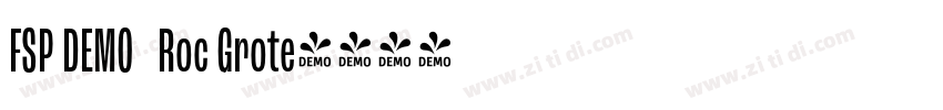 FSP DEMO   Roc Grote字体转换